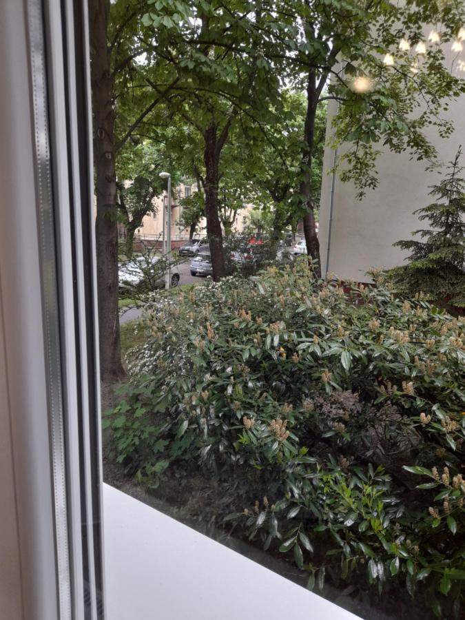 Apartament Pecs Park Zewnętrze zdjęcie